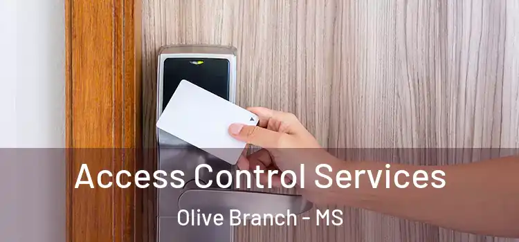Access Control Services Olive Branch - MS