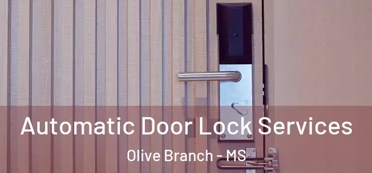 Automatic Door Lock Services Olive Branch - MS