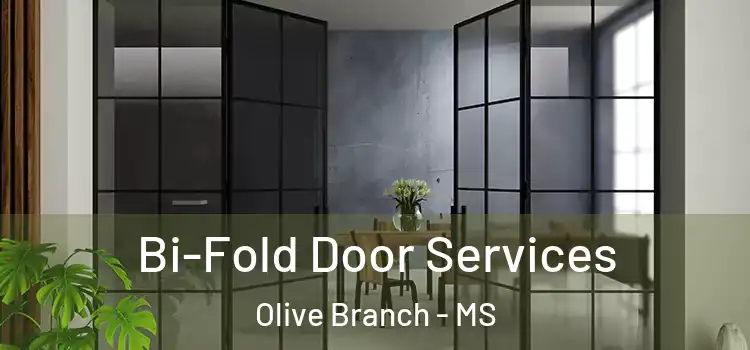 Bi-Fold Door Services Olive Branch - MS