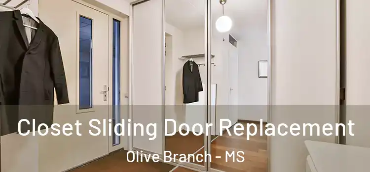 Closet Sliding Door Replacement Olive Branch - MS
