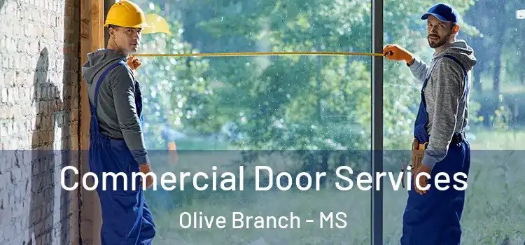 Commercial Door Services Olive Branch - MS