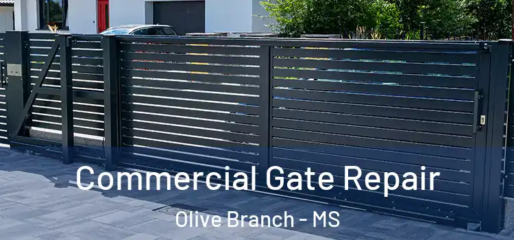 Commercial Gate Repair Olive Branch - MS