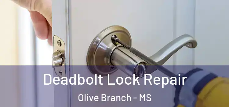 Deadbolt Lock Repair Olive Branch - MS