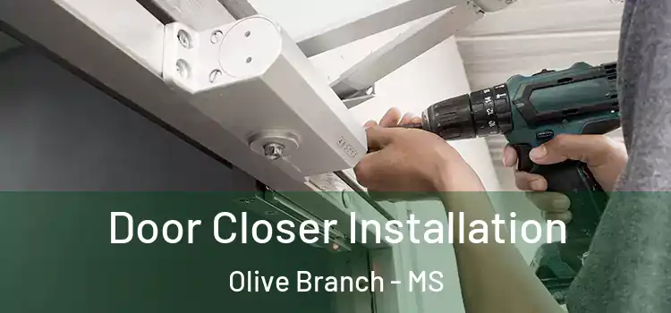 Door Closer Installation Olive Branch - MS