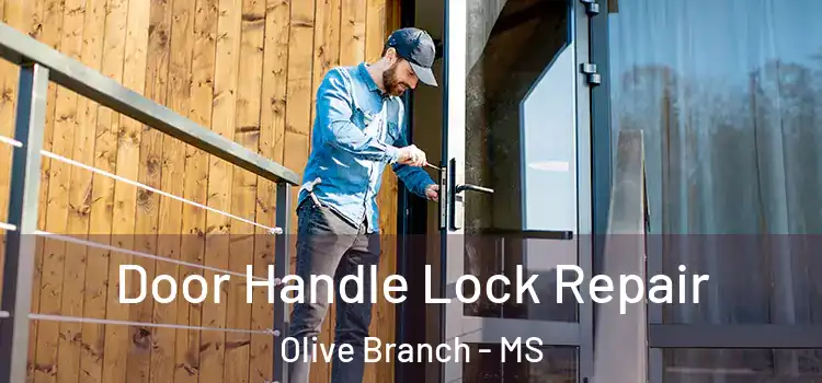 Door Handle Lock Repair Olive Branch - MS