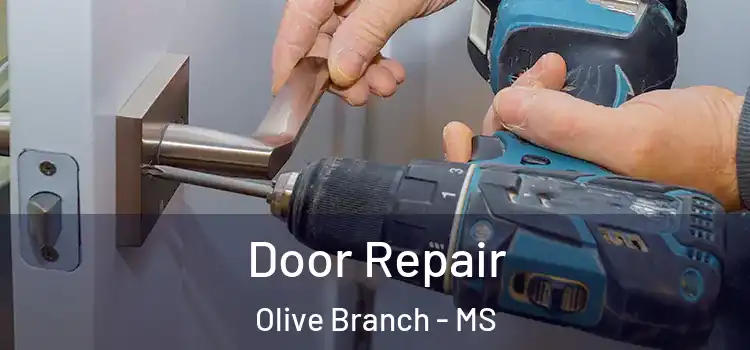  Door Repair Olive Branch - MS