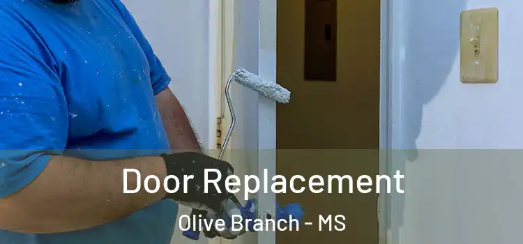 Door Replacement Olive Branch - MS