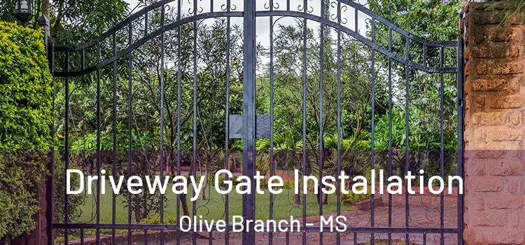 Driveway Gate Installation Olive Branch - MS