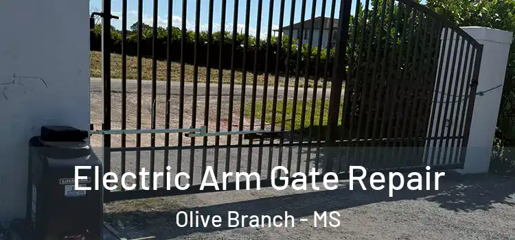 Electric Arm Gate Repair Olive Branch - MS