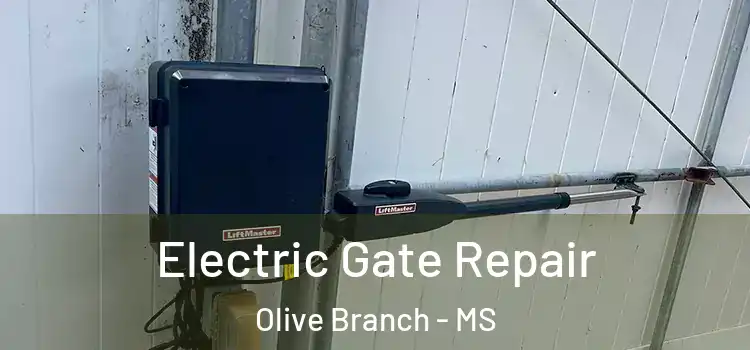  Electric Gate Repair Olive Branch - MS