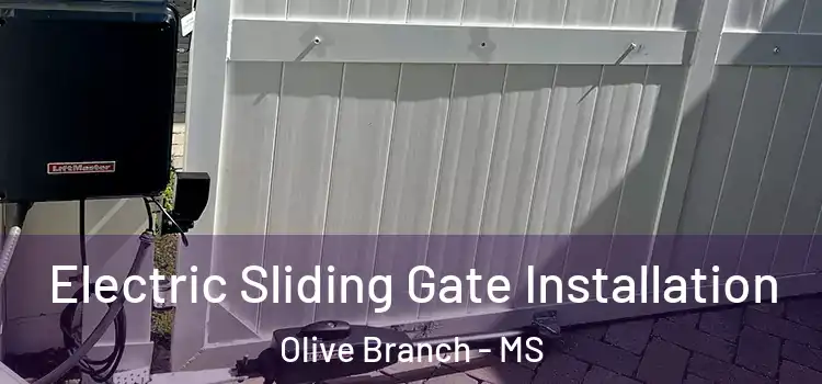 Electric Sliding Gate Installation Olive Branch - MS