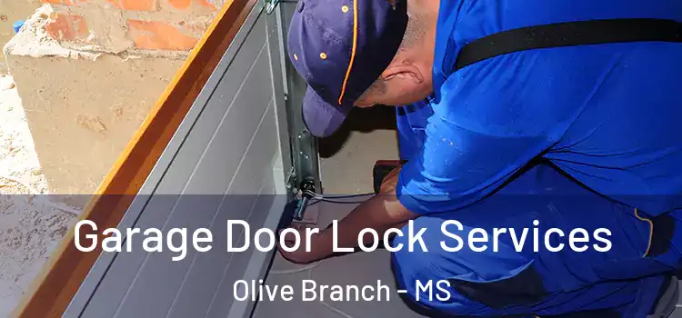 Garage Door Lock Services Olive Branch - MS