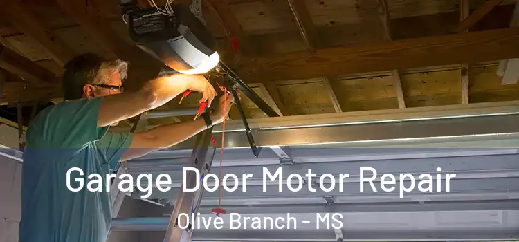  Garage Door Motor Repair Olive Branch - MS