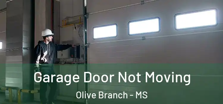  Garage Door Not Moving Olive Branch - MS