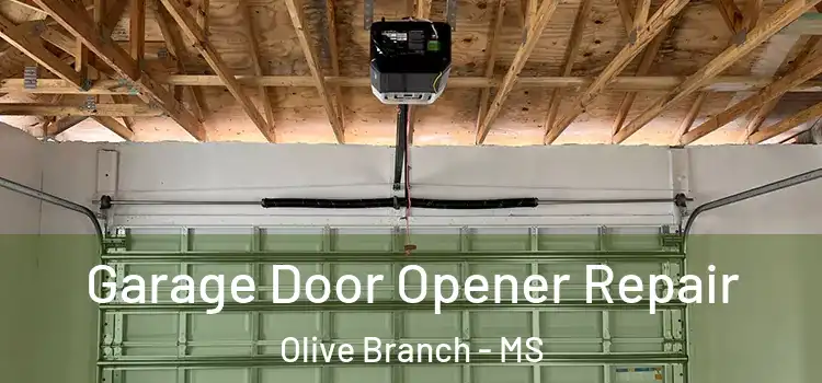  Garage Door Opener Repair Olive Branch - MS