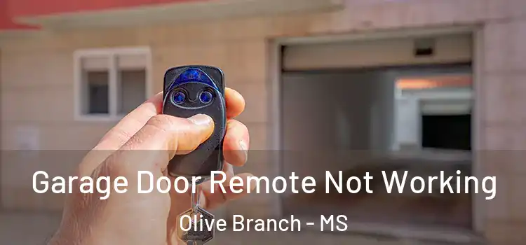 Garage Door Remote Not Working Olive Branch - MS