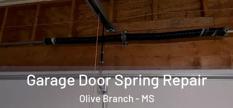  Garage Door Spring Repair Olive Branch - MS
