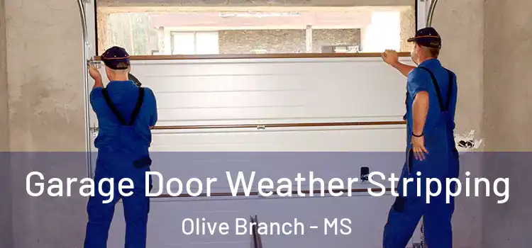  Garage Door Weather Stripping Olive Branch - MS