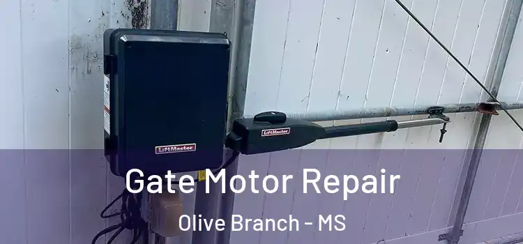  Gate Motor Repair Olive Branch - MS