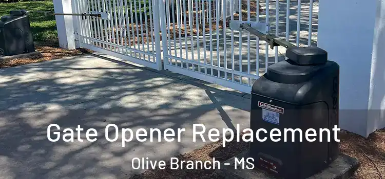 Gate Opener Replacement Olive Branch - MS