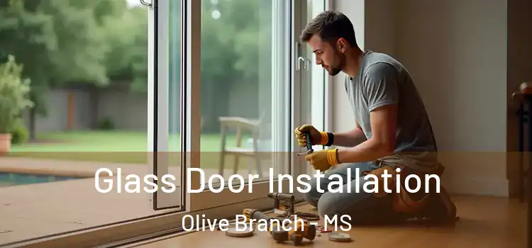 Glass Door Installation Olive Branch - MS