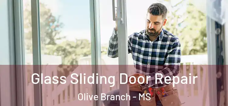  Glass Sliding Door Repair Olive Branch - MS