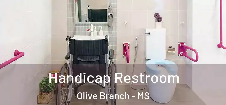 Handicap Restroom Olive Branch - MS