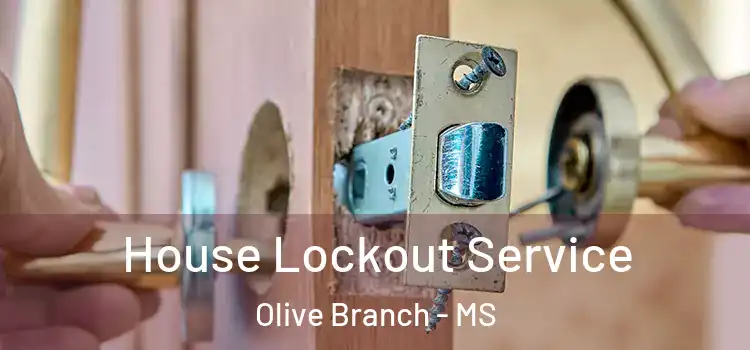  House Lockout Service Olive Branch - MS