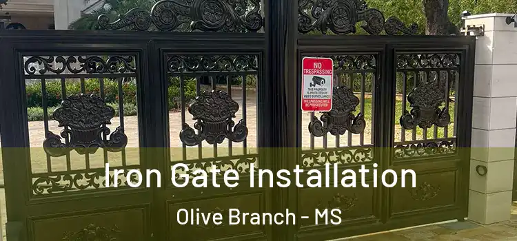 Iron Gate Installation Olive Branch - MS