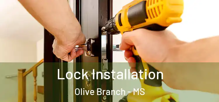 Lock Installation Olive Branch - MS