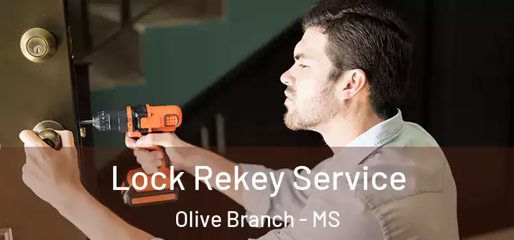 Lock Rekey Service Olive Branch - MS