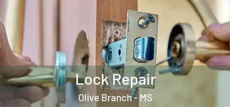 Lock Repair Olive Branch - MS