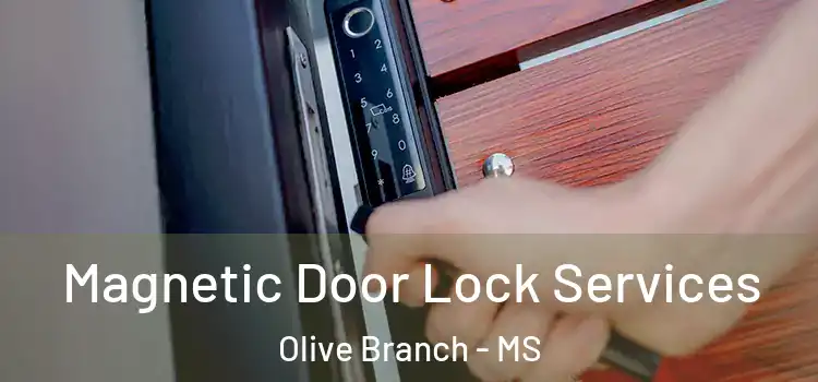Magnetic Door Lock Services Olive Branch - MS