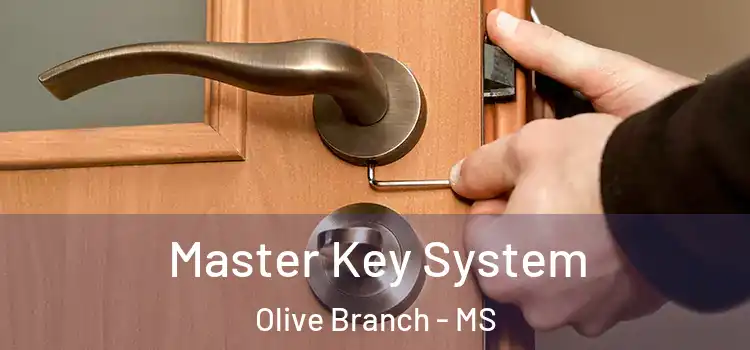 Master Key System Olive Branch - MS