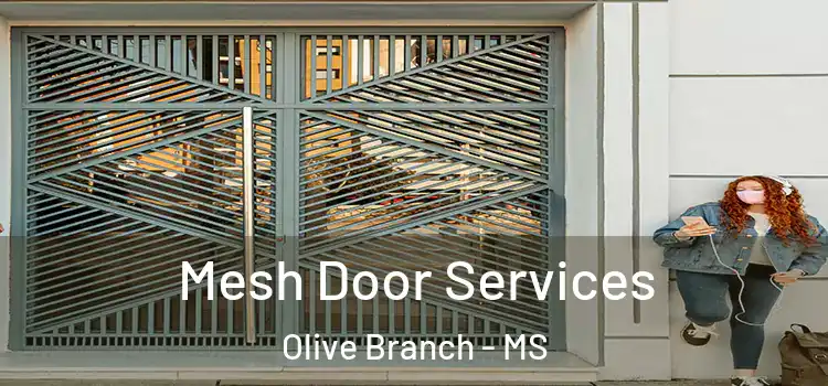  Mesh Door Services Olive Branch - MS
