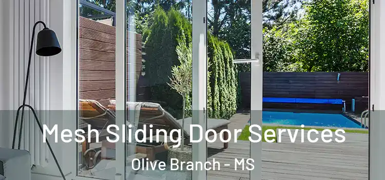 Mesh Sliding Door Services Olive Branch - MS