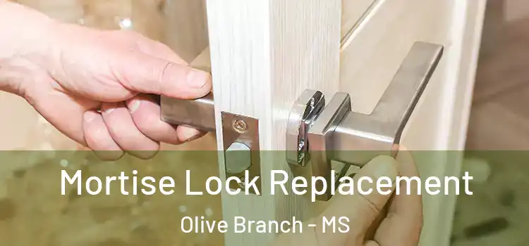  Mortise Lock Replacement Olive Branch - MS