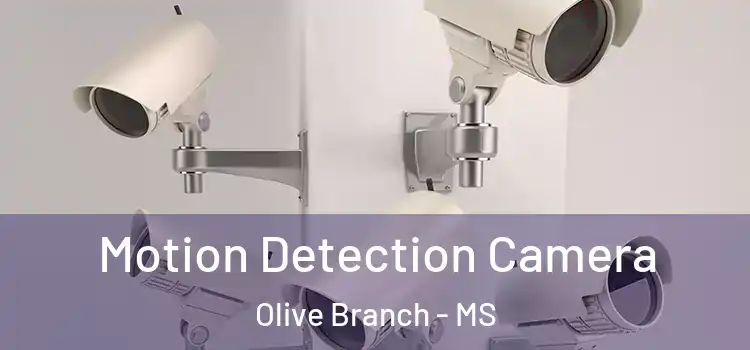  Motion Detection Camera Olive Branch - MS