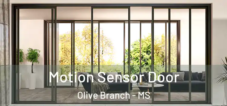 Motion Sensor Door Olive Branch - MS