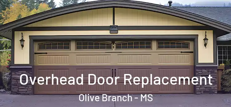  Overhead Door Replacement Olive Branch - MS