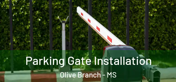  Parking Gate Installation Olive Branch - MS