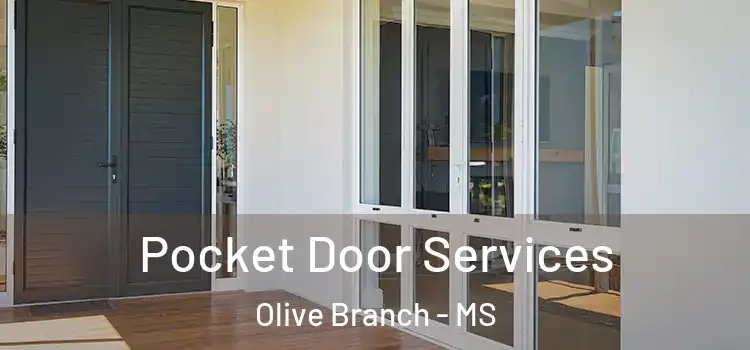 Pocket Door Services Olive Branch - MS