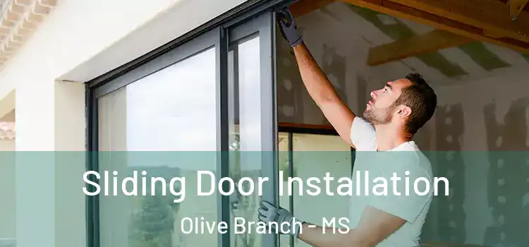 Sliding Door Installation Olive Branch - MS