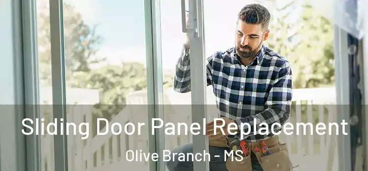  Sliding Door Panel Replacement Olive Branch - MS
