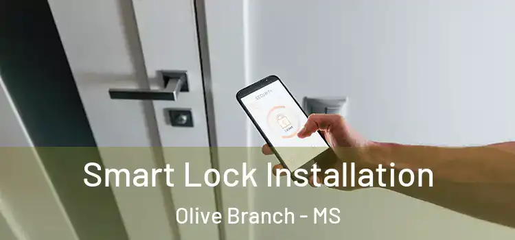  Smart Lock Installation Olive Branch - MS