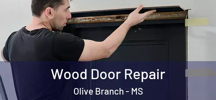 Wood Door Repair Olive Branch - MS