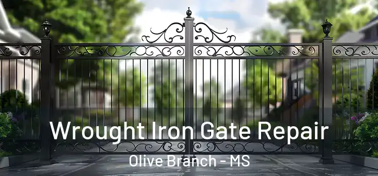 Wrought Iron Gate Repair Olive Branch - MS